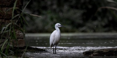 斗破小站-第一章